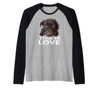 This is Love Chocolate Lab Dog Labrador Retriever Love Marron Manche Raglan
