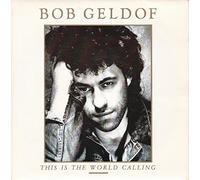 THIS IS THE WORLD CALLING 7" (45) UK MERCURY 1986 B/W TALK ME UP (BOB101) PIC SLEEVE