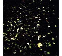 This is Then That Was Now