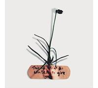 This Is What I Wanted To Give You