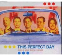 This Perfect Day - Could Have Been Friends