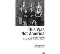 This Was Not America by Michael Steinlauf Michael Steinlauf (Auteur)
