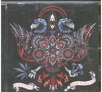 This Will Destroy You - Young Mountain