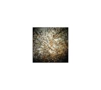 Horsefeathers – Thistled Spring