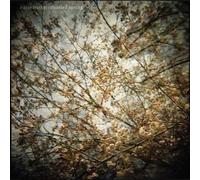 Thistled Spring by Horse Feathers (2010-04-20)