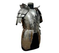 ThisToffGuys Ensemble d'armure de chevalier médiéval, costume de GN portable, armure de mercenaire d'aventurier fantastique for le théâtre, foires de la Renaissance(A)