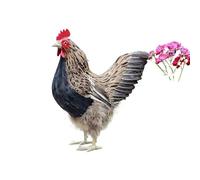 ThisToffGuys Figurine de Poule réaliste, Statue de Poulet en Fausses Plumes, décoration de Ferme, décoration de Pâques(Brown(39 * 18 * 40cm))