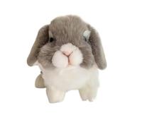 ThisToffGuys Lapin bélier réaliste en Peluche de 22 cm, Doux et, Oreilles Tombantes Fond lesté (Holland Lop)