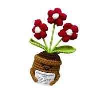 THOANBY Ensemble de plantes en pot au crochet | Kits d'artisanat adaptés aux débutants avec tutoriel illustré et pot de fleurs en coton doux naturel