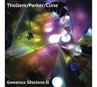 Thollem, Parker & Cline Gowanus Sessions II (Vinyl) 12" Album