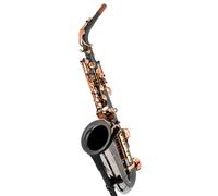 Thomann Thomann ASBBG Custom Line Alto Sax