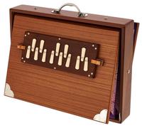 Thomann Thomann Nataraj Prof. Shruti G-G 432Hz