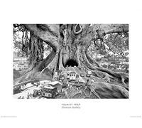 Thomas Barbey (Tourist Trap 60 x 80 cm Toile Imprimée