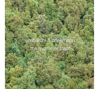 Thomas Brinkmann & Oren Ambarchi - The Mortimer Trap