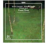 Thomas Christian Ensemble - Piano Trios [Compact Discs]