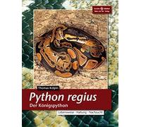 Thomas Kölpin Python regius. Der Königspython (Poche)