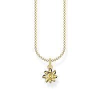 Thomas Sabo Chaîne soleil or Argent Sterling 925, Doré Or Jaune 18 Carats