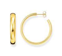 Boucles d'Oreilles Femme CR640-413-39