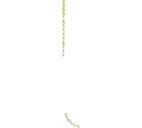 Thomas Sabo heirloom necklace KE1219-413-12-M Collier pour dames