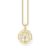 Thomas Sabo - KE2148-414-14-L45V - Collier - Femmes - 925er Argent plaqu or jaune - 40-45cm