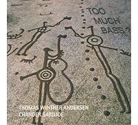 Thomas Winther Andersen : Too Much Bass?