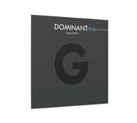 Thomastik-Infeld DOMINANT PRO® DP23 Viola G-Saite
