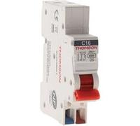 Disjoncteur 1P+N peignable bornes automatiques 10A NF Easy Connect - Thomson