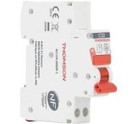 Disjoncteur 1P+N peignable et à bornes automatiques 32A NF (EASY CONNECT) - Thomson