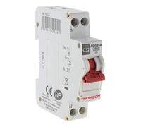 Thomson Disjoncteur à vis PH+N 32A NF Pouvoir de coupure 4.5KA