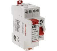 Thomson - Interrupteur différentiel à vis 40A type A NF G