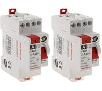 Thomson - Interrupteur différentiel à vis 40A type A NF (Lot de 2)