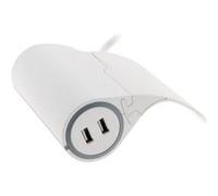 Thomson Multiprise pour canapé 1 prise 2P+T 16A + 2 USB Blanc