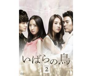 Thorn Birds Dvd-Set 2 [Import allemand]