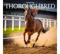 Thoroughbred Horse 2026 Calendar: Grace, Speed, and Equine Elegance