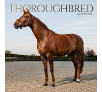 Thoroughbred Horse Calendar 2027: Horse Portraits and Pasture Scenes