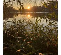 Thorpe James & Foat Greg - Photosynthesis [Import]