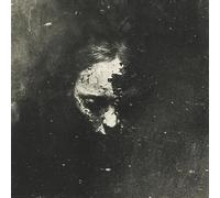 The Answer Lies In The Black Void - Vinyle 33 Tours