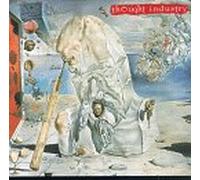 Thought Industry - Mods Carve The Pig: Assassins Toads & Gods Flesh