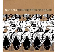 Thought Rock Fish Scale