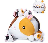 Threan 5 Pcs Animaux en Peluche Cochon d'Inde 35 cm Poupée de Maman Cochon d'Inde avec 10 cm Jouets de Bébés Cochon d'Inde Mignons Doux pour Adultes Garçons Filles Anniversaire Vacances