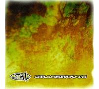 Three-Eleven - Grassroots