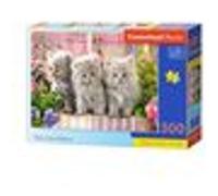 Three Grey Kittens, Puzzle 300 Teile - Castorland G