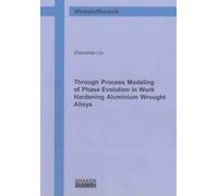Through Process Modeling of Phase Evolution in Work Hardening Aluminium Wrought Alloys