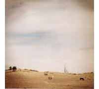 Bronwyn - Fog, Through The Pines [Import]