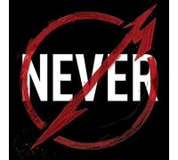 Through The Never