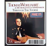 Through the storm [Single-CD]