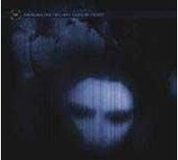 Through The Twilight Eyes Of Frost