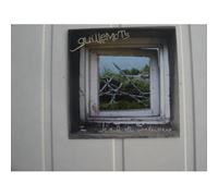 Guillemots – Through the Window Pane