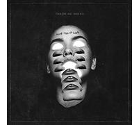 Throwing Bricks - What Will Be Lost [Import]