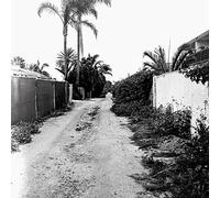 Throwing Muses - Sun Racket (Monochrome Edition)